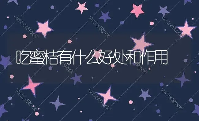 吃蜜桔有什么好处和作用 | 养殖资料投稿