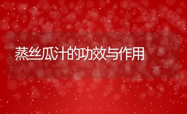 蒸丝瓜汁的功效与作用 | 养殖资料投稿