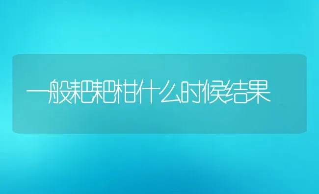 一般耙耙柑什么时候结果 | 养殖资讯