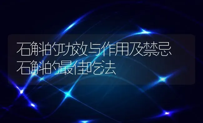 石斛的功效与作用及禁忌 石斛的最佳吃法 | 养殖资料投稿