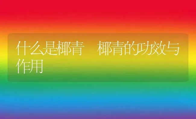 什么是椰青 椰青的功效与作用 | 养殖资料投稿