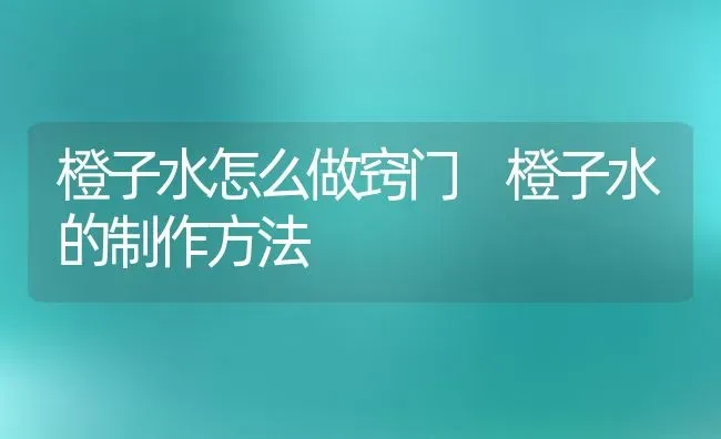 橙子水怎么做窍门 橙子水的制作方法 | 养殖资料投稿