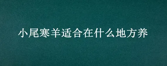 小尾寒羊适合在什么地方养