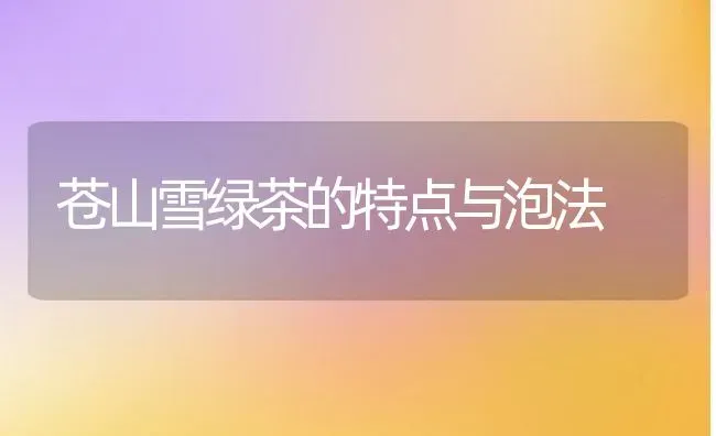 苍山雪绿茶的特点与泡法 | 养殖资料投稿