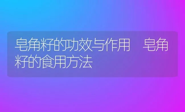 皂角籽的功效与作用 皂角籽的食用方法 | 养殖资料投稿