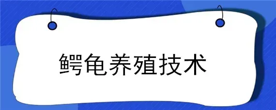 鳄龟养殖技术