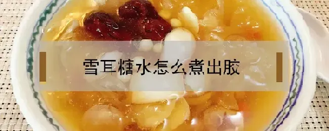 雪耳糖水怎么煮出胶