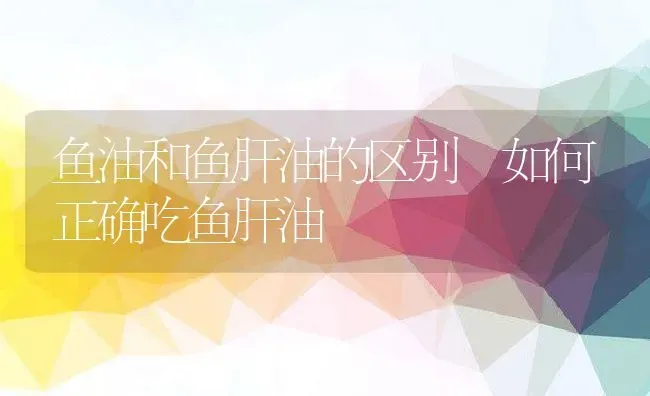 鱼油和鱼肝油的区别 如何正确吃鱼肝油 | 养殖资料投稿