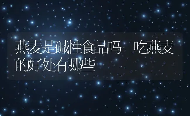 燕麦是碱性食品吗 吃燕麦的好处有哪些 | 养殖资讯