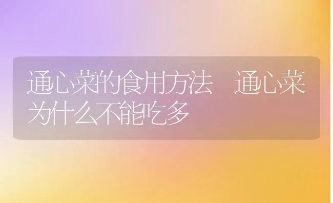 通心菜的食用方法 通心菜为什么不能吃多 | 养殖资料投稿