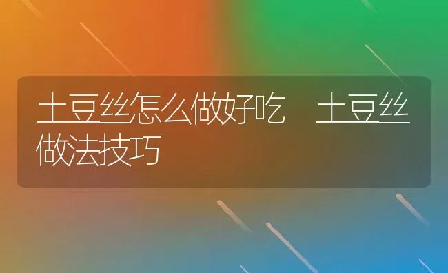 土豆丝怎么做好吃 土豆丝做法技巧 | 养殖资料投稿