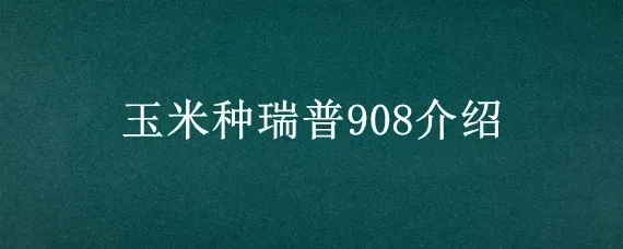 玉米种瑞普908介绍