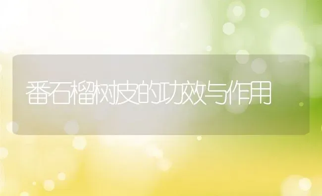 番石榴树皮的功效与作用 | 养殖资料投稿