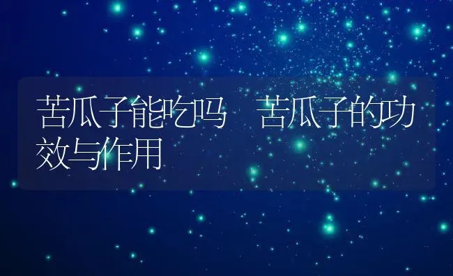 苦瓜子能吃吗 苦瓜子的功效与作用 | 养殖资料投稿