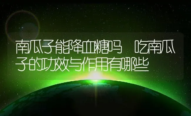 南瓜子能降血糖吗 吃南瓜子的功效与作用有哪些 | 养殖资料投稿