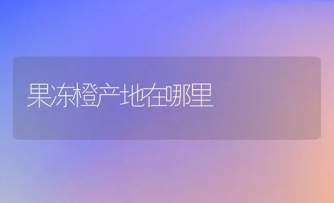 果冻橙产地在哪里 | 养殖资讯