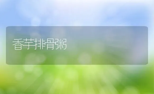 香芋排骨粥 | 养殖资料投稿