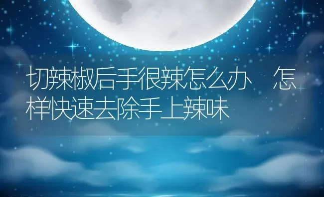 切辣椒后手很辣怎么办 怎样快速去除手上辣味 | 养殖资料投稿