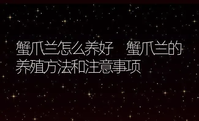 蟹爪兰怎么养好 蟹爪兰的养殖方法和注意事项 | 养殖资料投稿