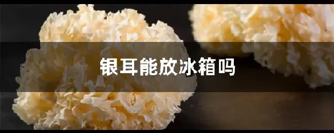 银耳能放冰箱吗