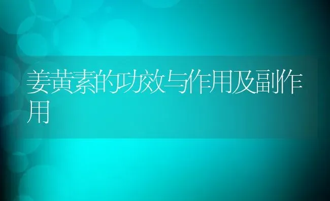 姜黄素的功效与作用及副作用 | 养殖资料投稿