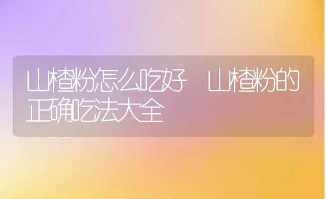 山楂粉怎么吃好 山楂粉的正确吃法大全 | 养殖资料投稿