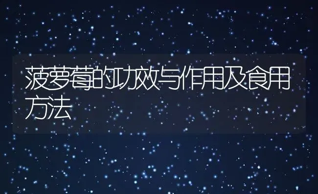 菠萝莓的功效与作用及食用方法 | 养殖资料投稿