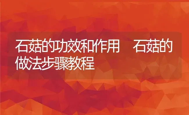 石菇的功效和作用 石菇的做法步骤教程 | 养殖资料投稿