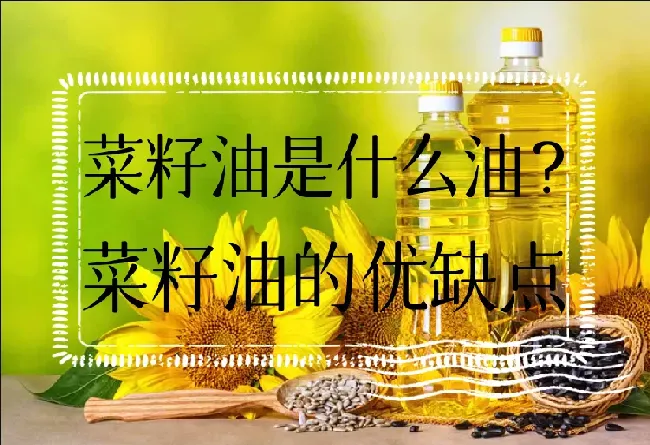 菜籽油是什么油？菜籽油的优缺点