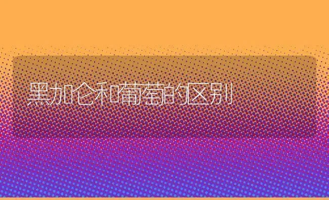 黑加仑和葡萄的区别 | 养殖资料投稿