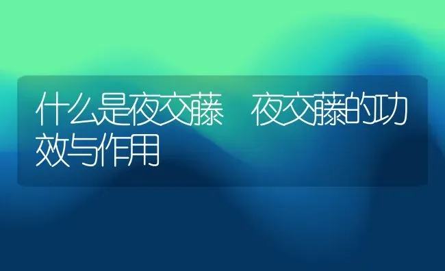 什么是夜交藤 夜交藤的功效与作用 | 养殖资料投稿