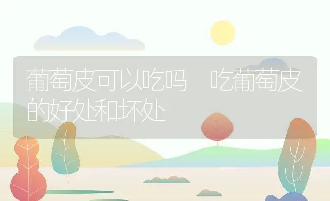 葡萄皮可以吃吗 吃葡萄皮的好处和坏处 | 养殖资料投稿