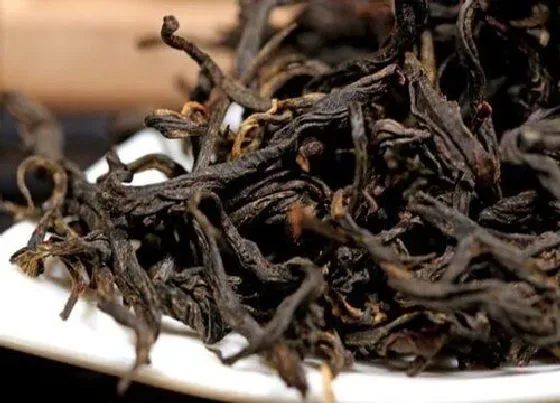 种植前景|卖茶叶一年挣个20万难吗（做茶叶生意一年赚多少钱收入）