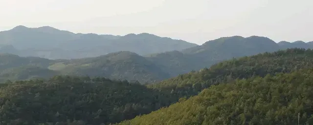 兔子养殖能赚钱吗