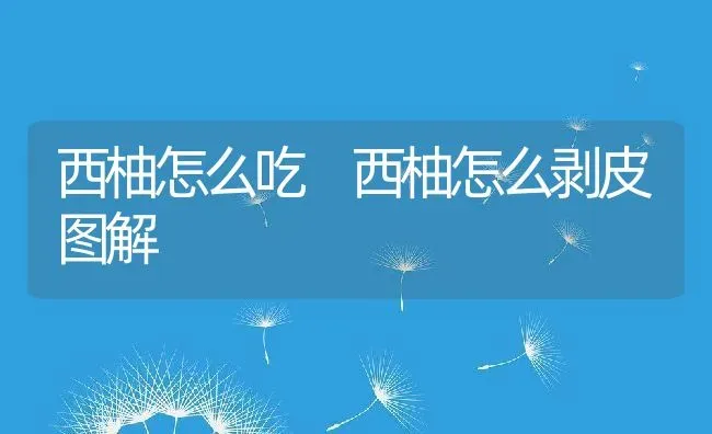 西柚怎么吃 西柚怎么剥皮图解 | 养殖资料投稿