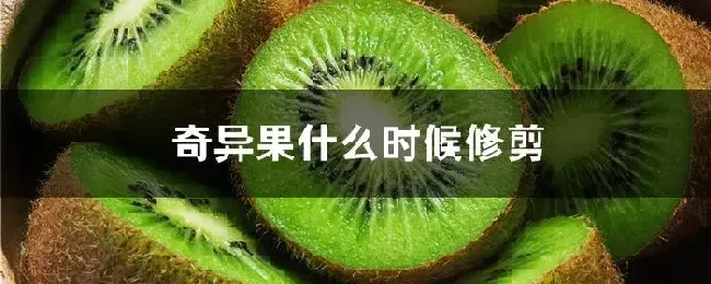 奇异果什么时候修剪