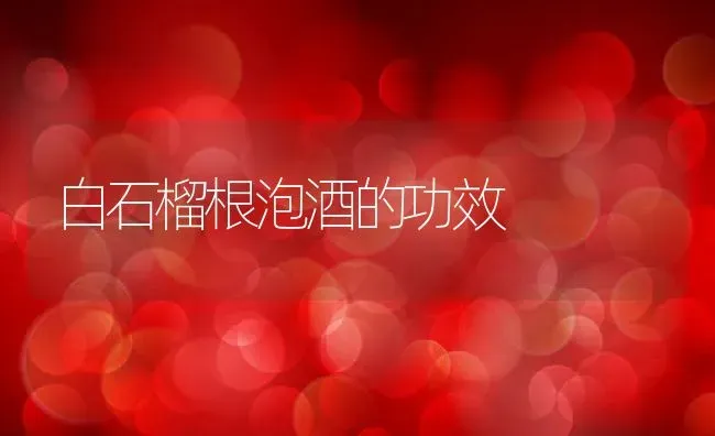 红茶的好处与坏处 | 养殖资料投稿