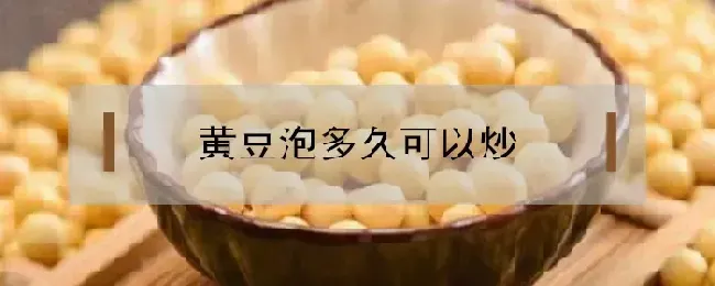 黄豆泡多久可以炒