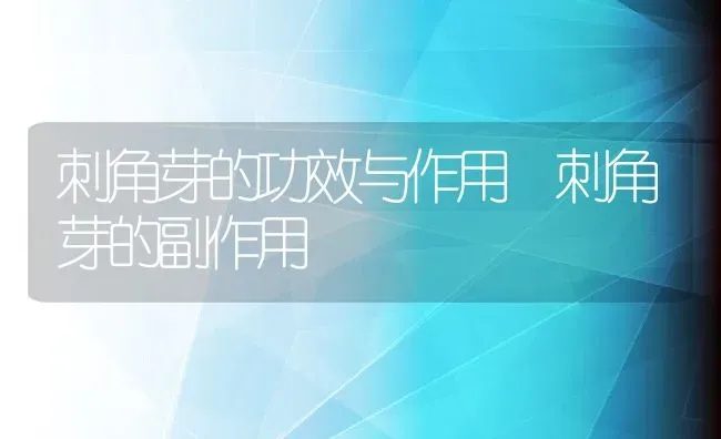 刺角芽的功效与作用 刺角芽的副作用 | 养殖资料投稿