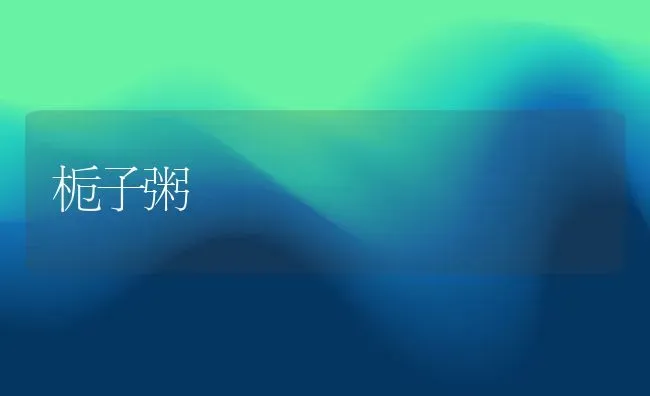 栀子粥 | 养殖资料投稿