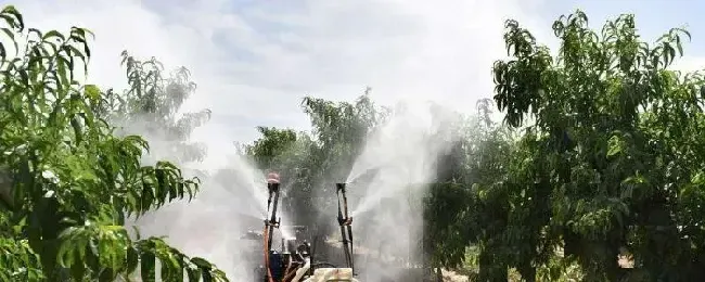 微生物菌剂使用方法与菌肥有什么区别
