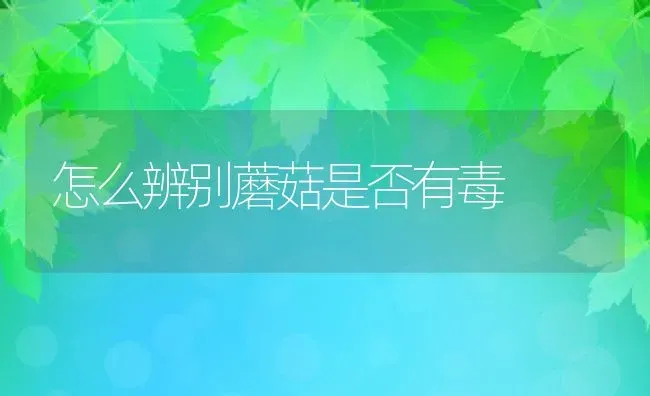 怎么辨别蘑菇是否有毒 | 养殖资料投稿