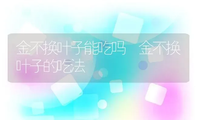 金不换叶子能吃吗 金不换叶子的吃法 | 养殖资料投稿