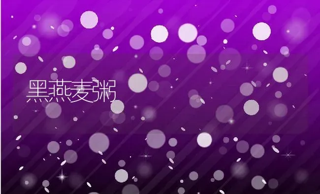 黑燕麦粥 | 养殖资料投稿