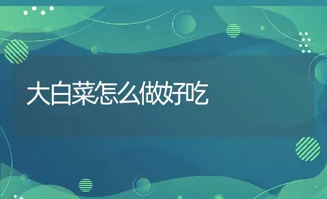 大白菜怎么做好吃 | 养殖资料投稿