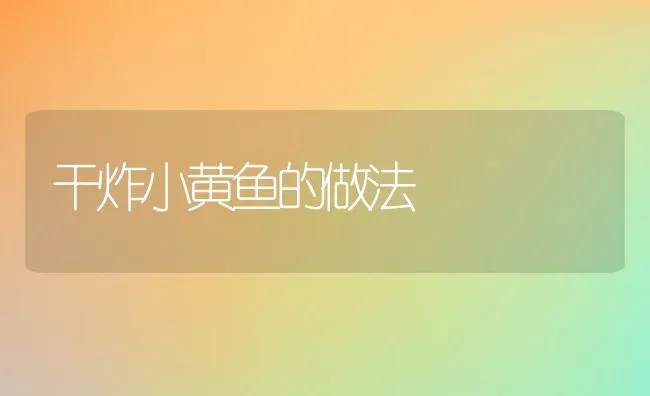 干炸小黄鱼的做法 | 养殖资料投稿