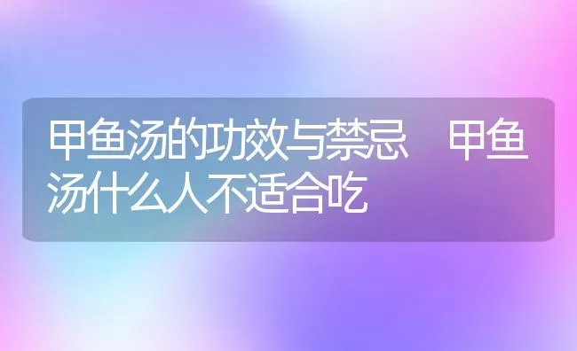 甲鱼汤的功效与禁忌 甲鱼汤什么人不适合吃 | 养殖资料投稿