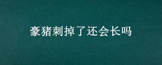 豪猪刺掉了还会长吗