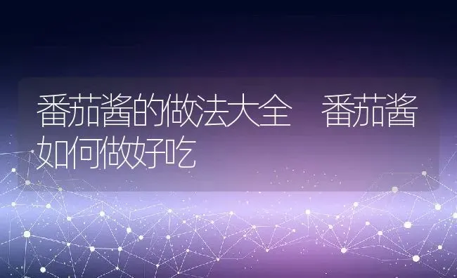 番茄酱的做法大全 番茄酱如何做好吃 | 养殖资料投稿