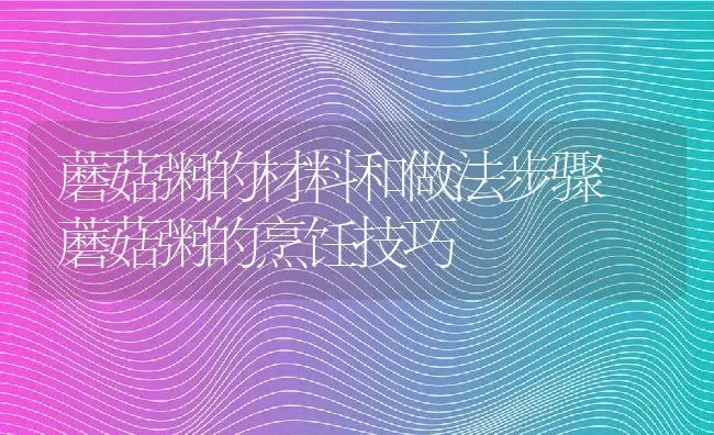 蘑菇粥的材料和做法步骤 蘑菇粥的烹饪技巧 | 养殖资讯